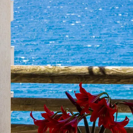 The Bay Appartement *