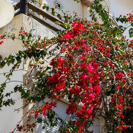 Appartement The Bay Saranda