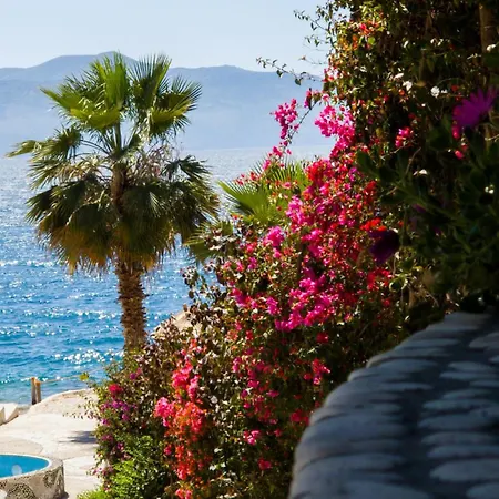 The Bay Appartement *