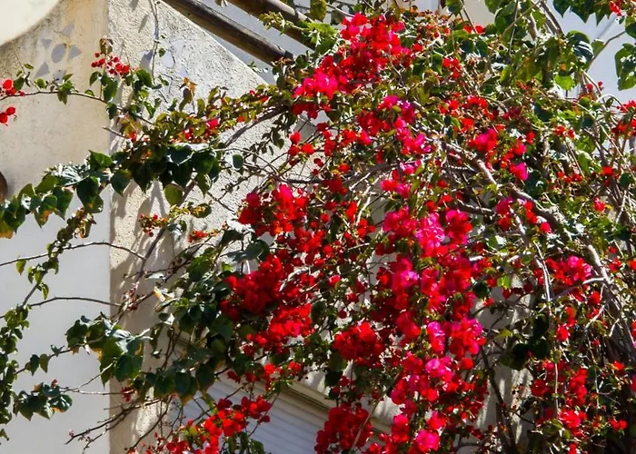 公寓 The Bay Sarandë