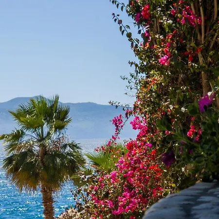 The Bay Sarandë