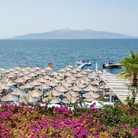 The Bay Appartamento *