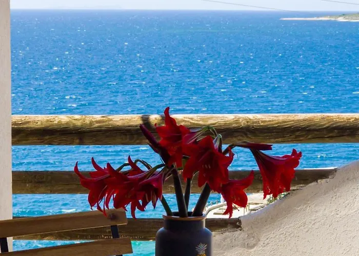 The Bay * Saranda