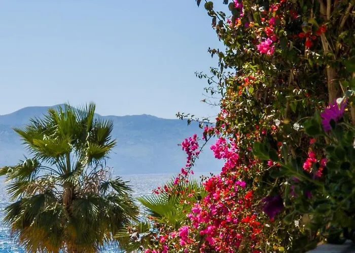 The Bay Saranda